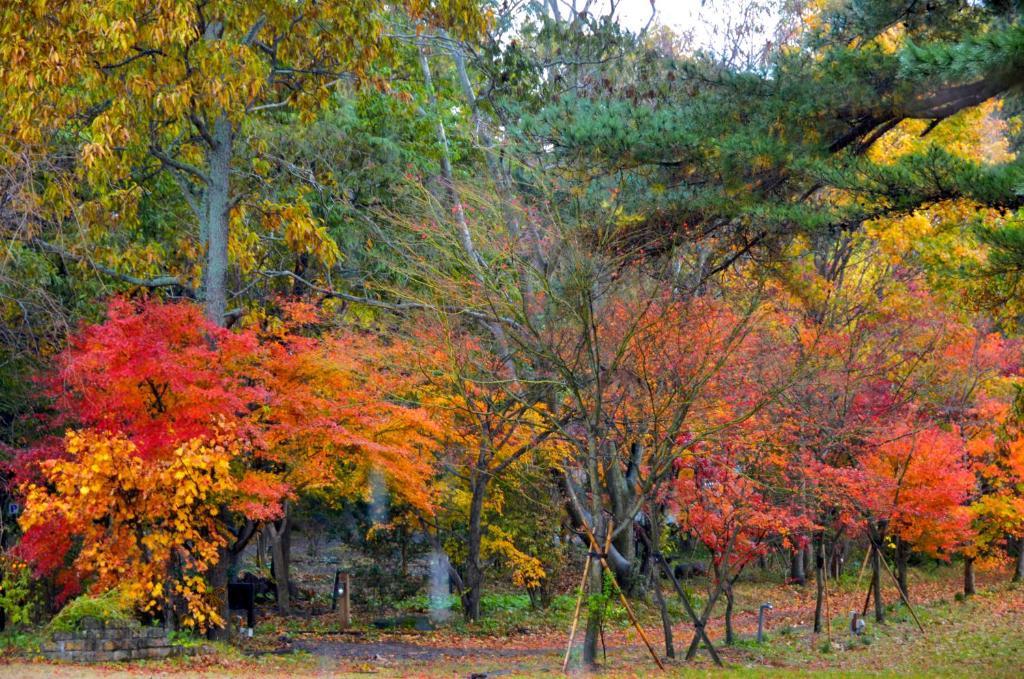 Minami Aso Luna Observatory Auberge Mori No Atelier Minamiaso Buitenkant foto