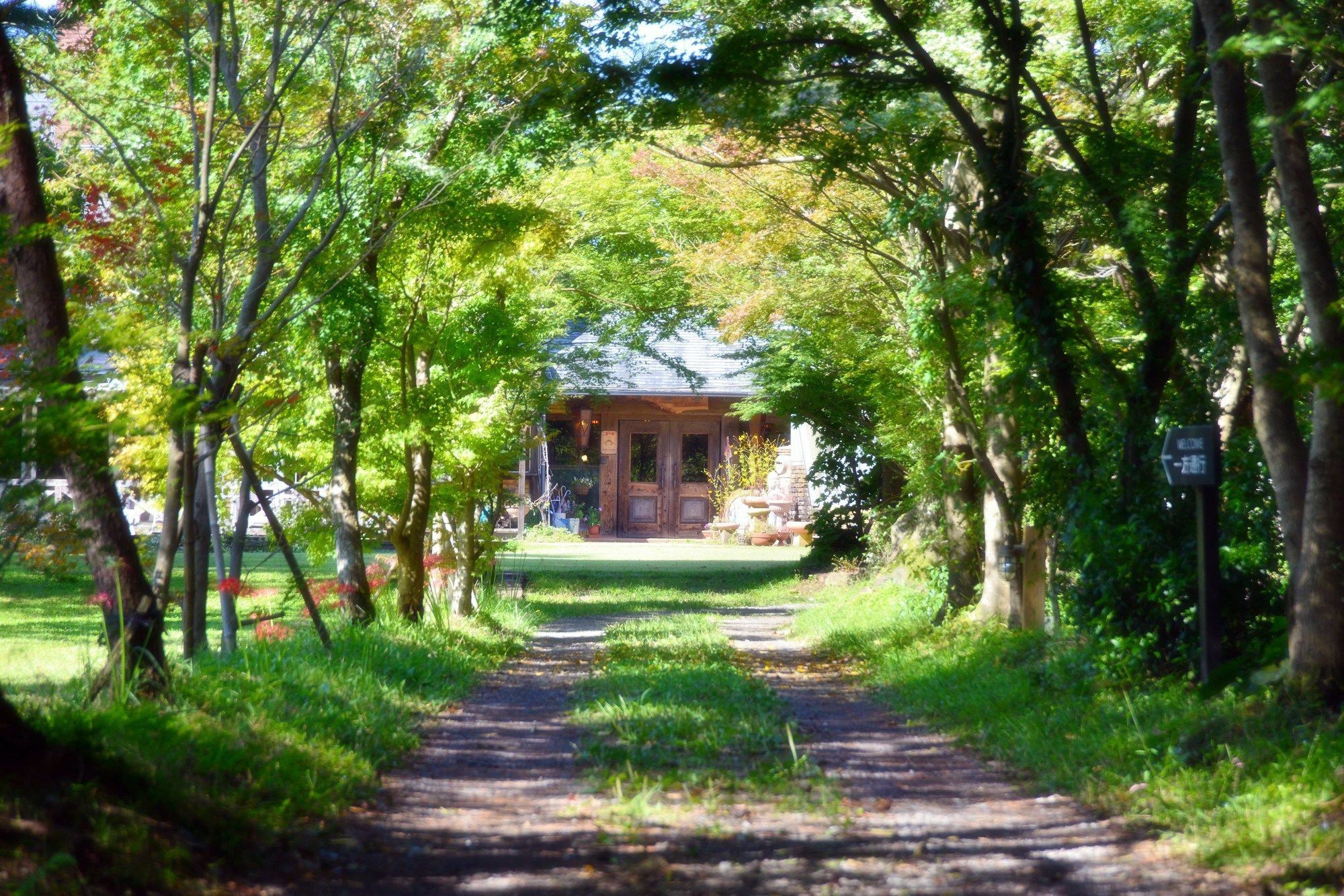 Minami Aso Luna Observatory Auberge Mori No Atelier Minamiaso Buitenkant foto