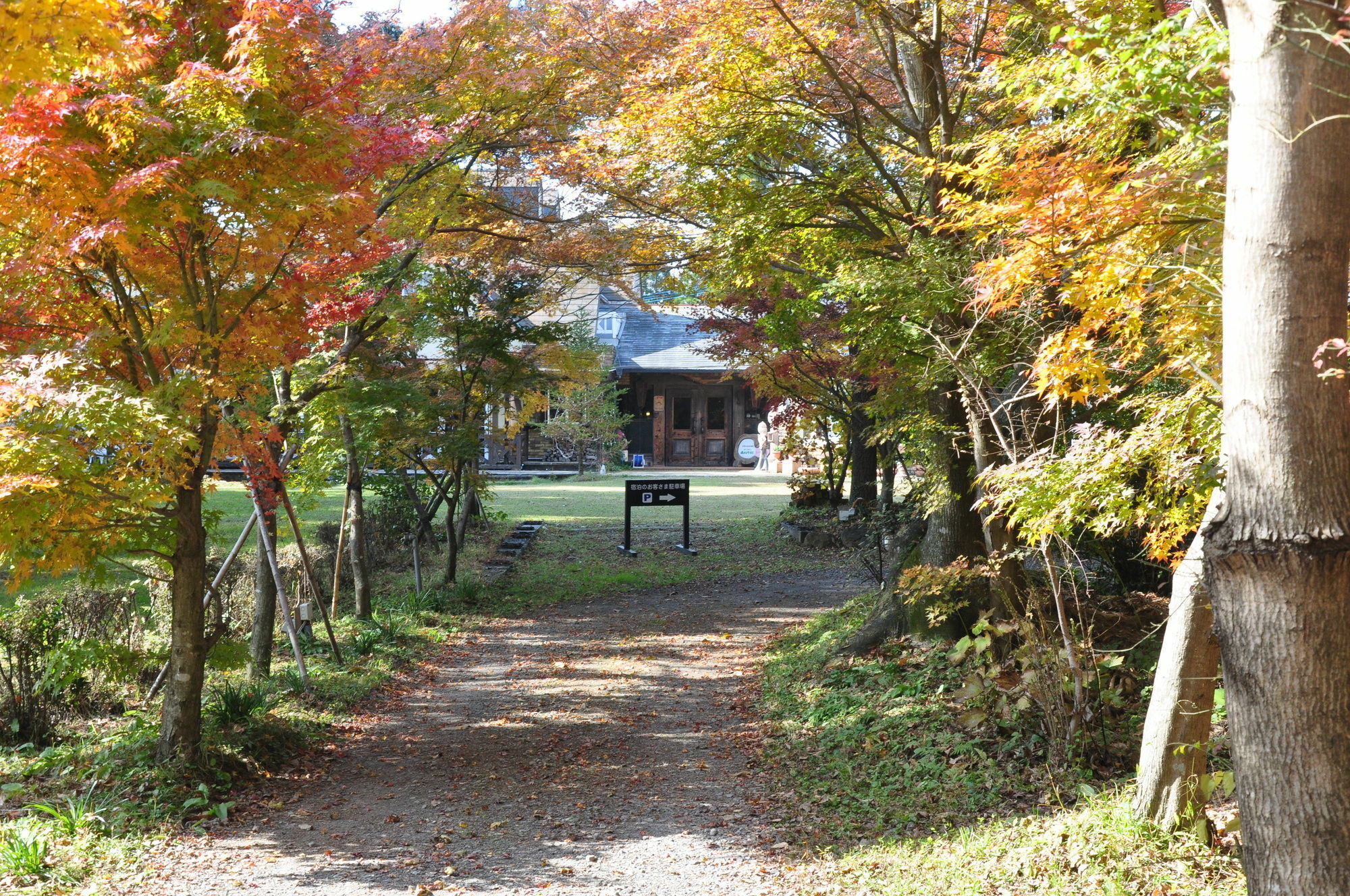 Minami Aso Luna Observatory Auberge Mori No Atelier Minamiaso Buitenkant foto